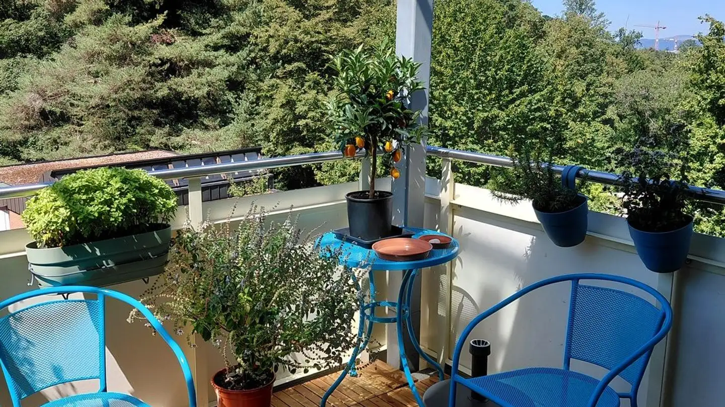 Furnished apartment for rent - 8125 Zollikerberg - Photo 4