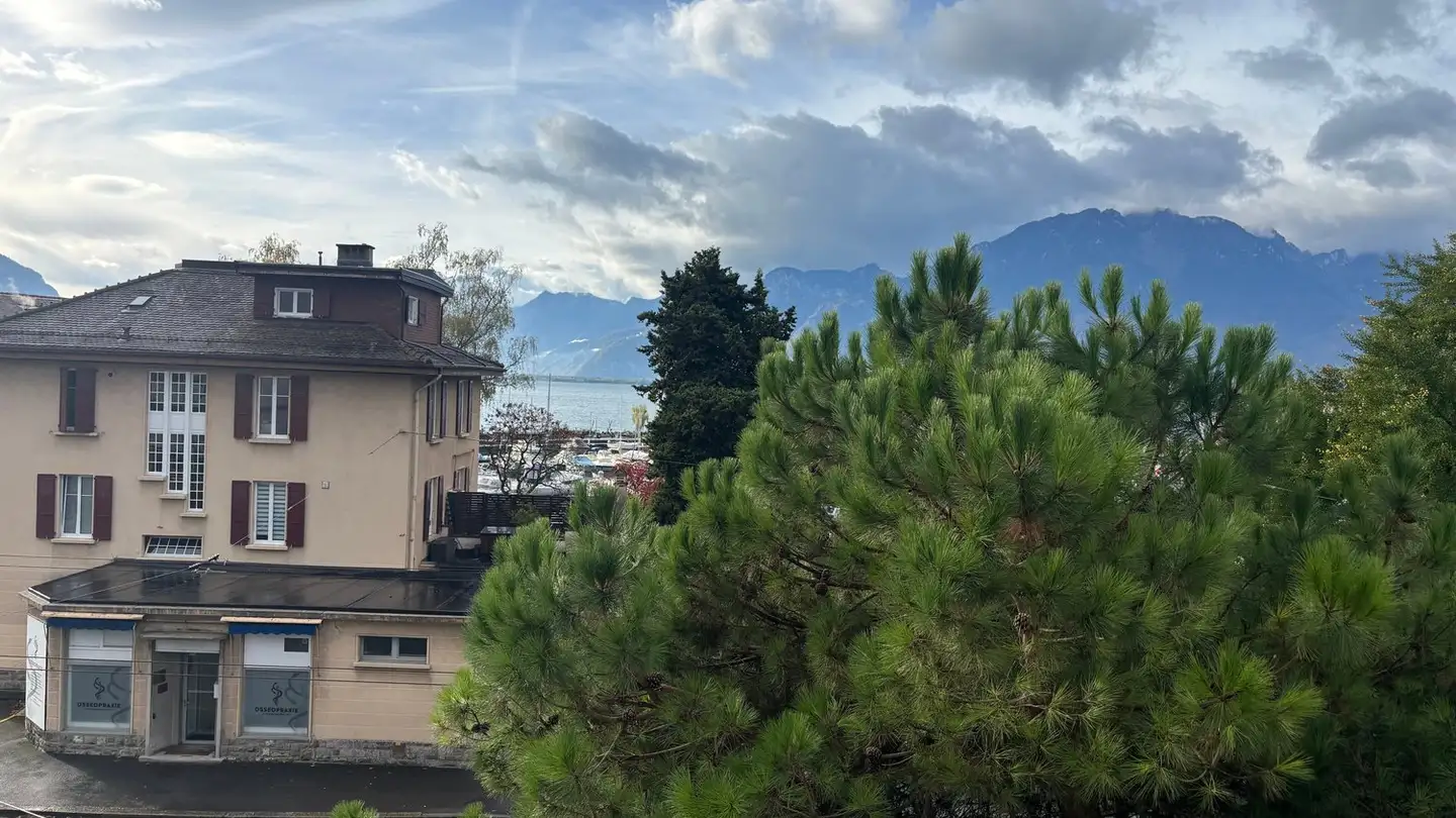 Appartamento in vendita - 1815 Clarens - Photo 4