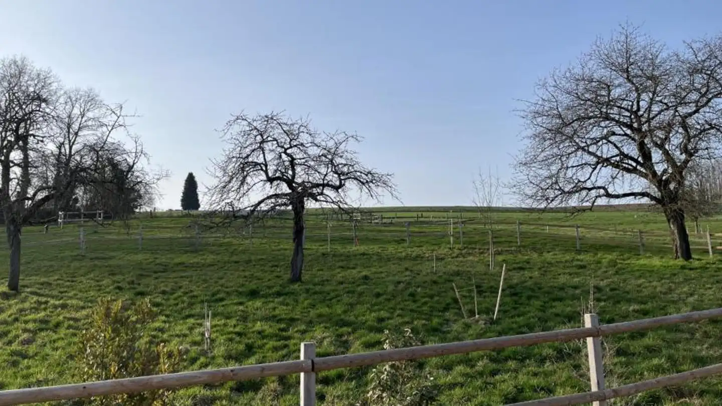 Einfamilienhaus kaufen - 1538 Treytorrens (Payerne)