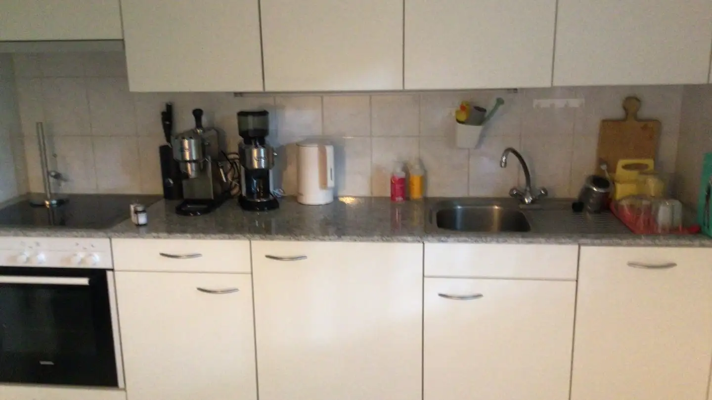 Appartamento in affitto - Fruthwilerstrasse 66, 8272 Ermatingen - Photo 3