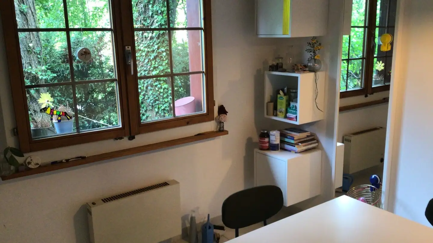 Appartamento in affitto - Fruthwilerstrasse 66, 8272 Ermatingen - Photo 4