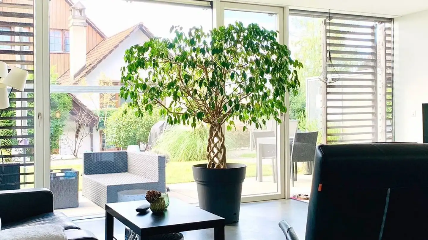 Appartamento in affitto - Sagirain 6d, 8605 Gutenswil - Foto 4