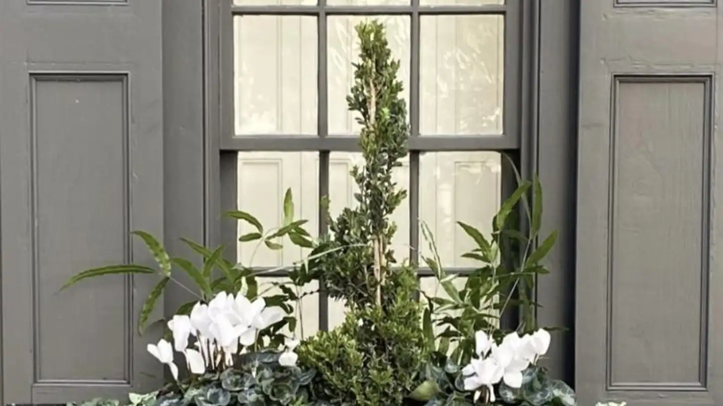 Casa a schiera in vendita - 1253 Vandoeuvres