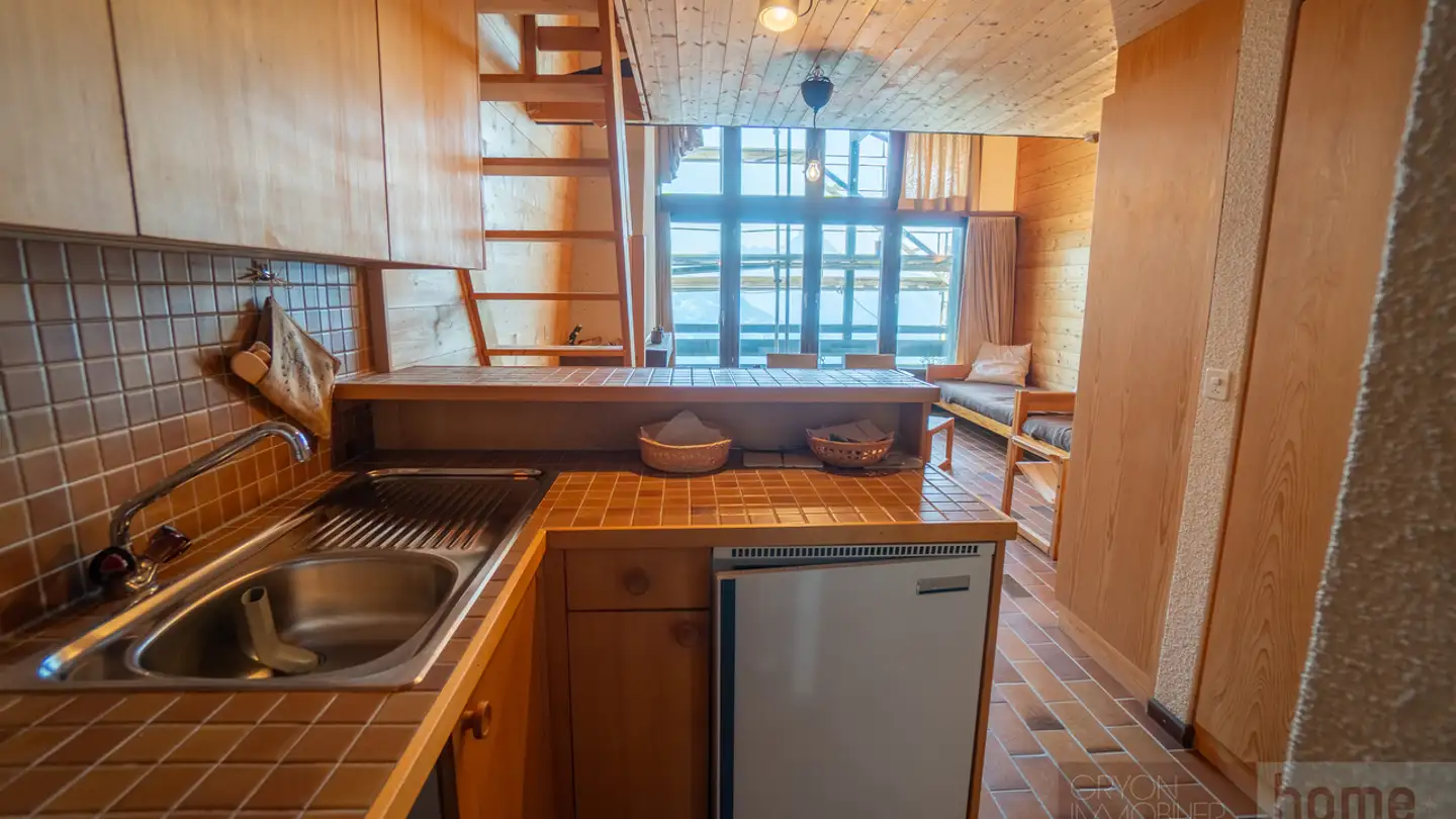 Appartamento in vendita - Route De L'alpe Des Chaux 51, 1882 Gryon - Photo 4