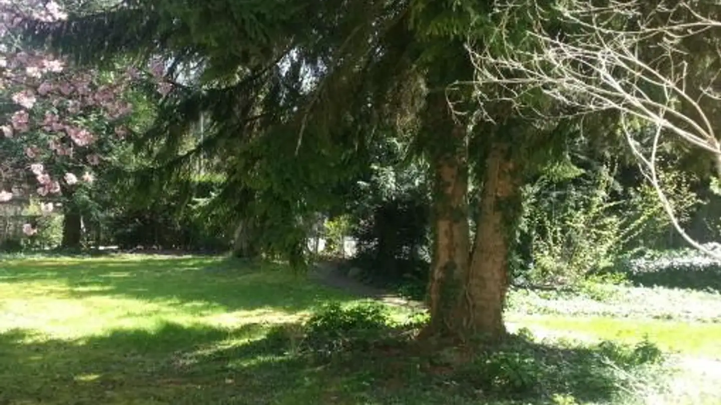 Apartment for rent - 8002 Zürich