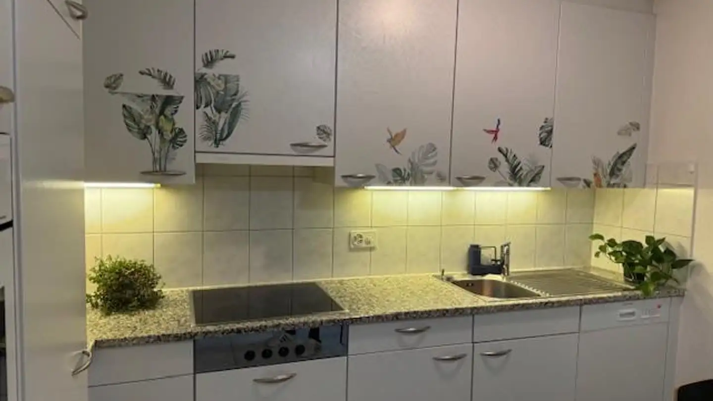 Appartamento in affitto - Bergholzstrasse, 9500 Wil SG - Foto 2