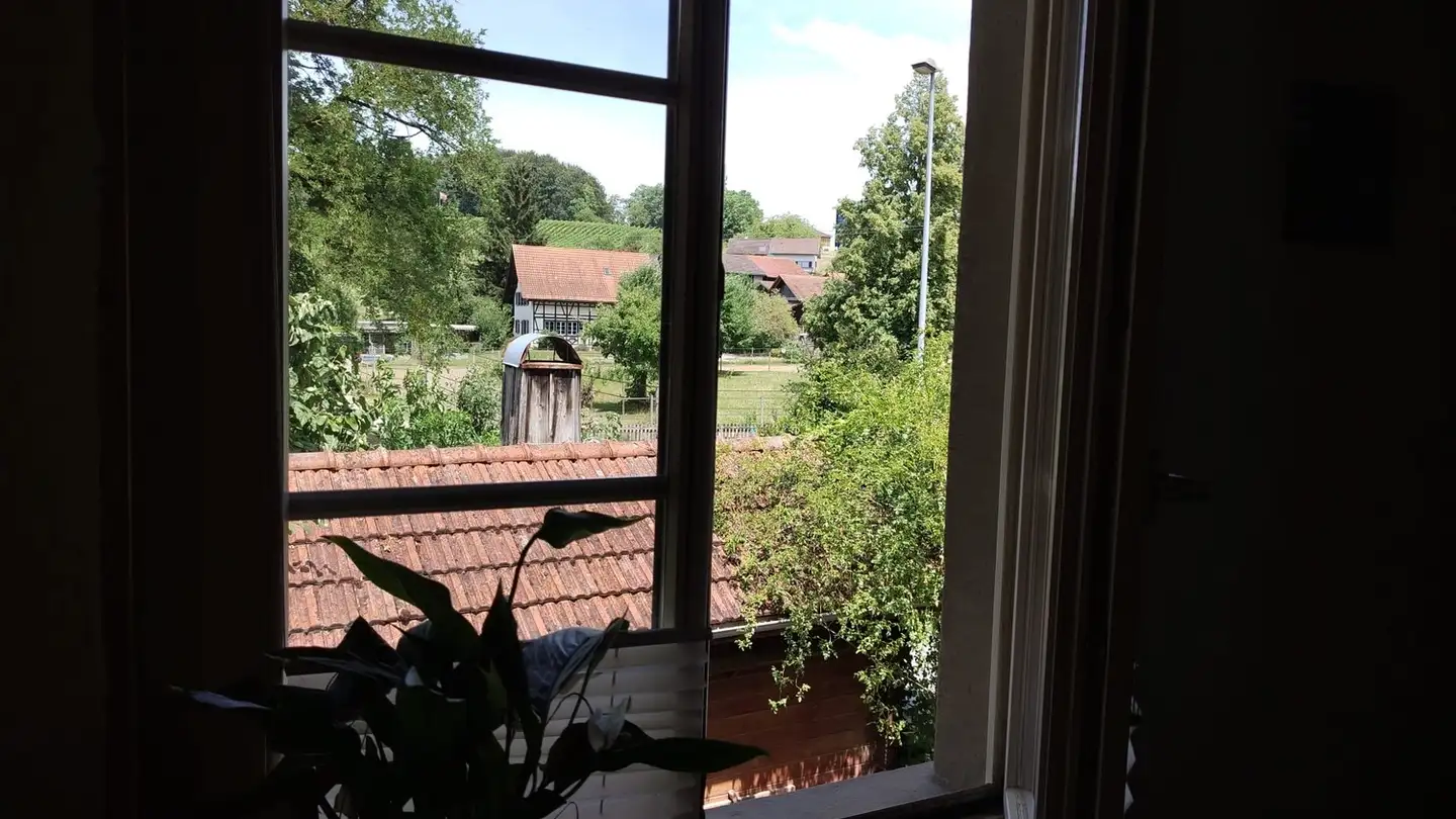 Single room for rent - Büelstrasse 9, 8545 Rickenbach ZH - Photo 3