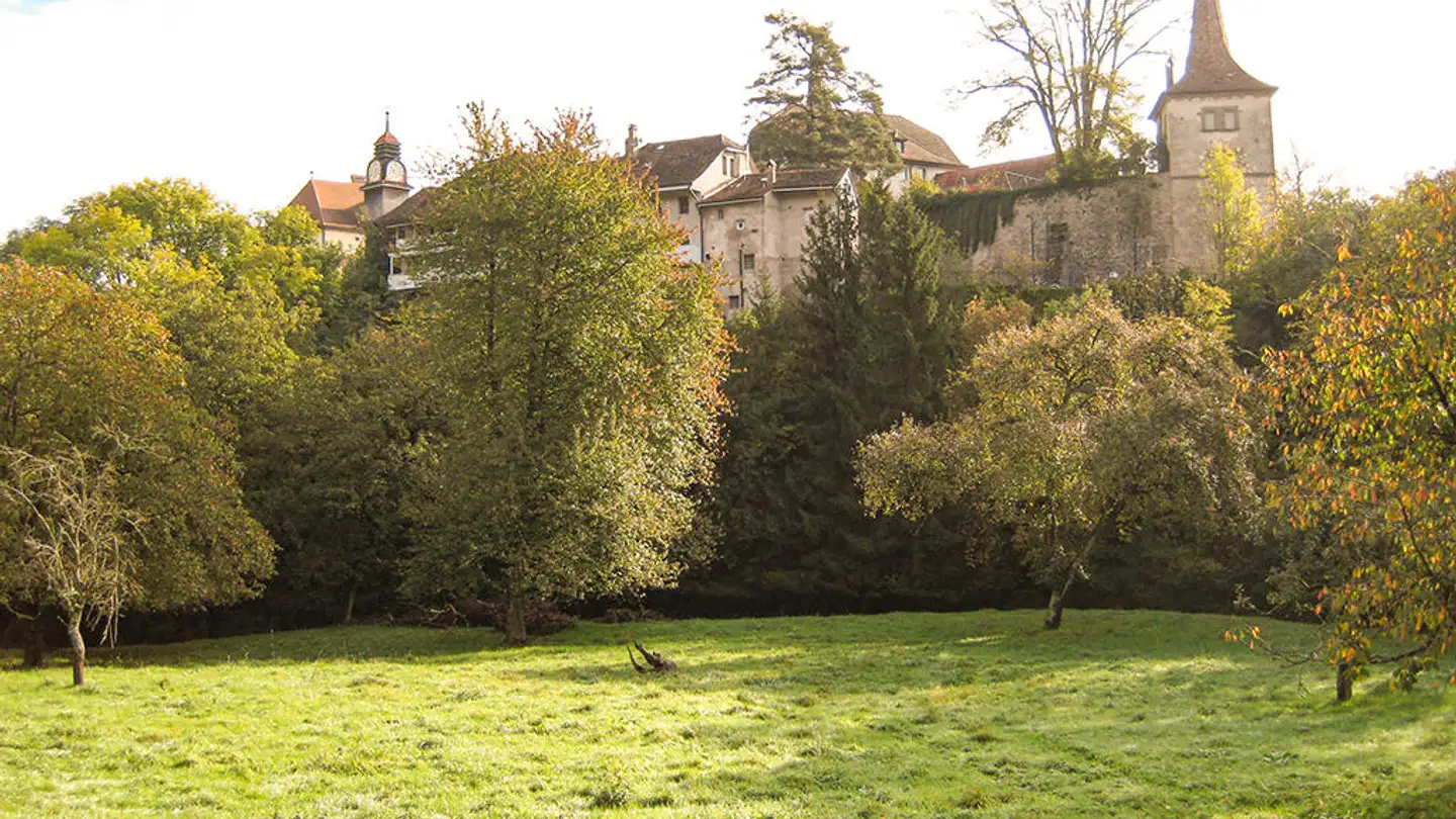 Einfamilienhaus kaufen - 1510 Moudon