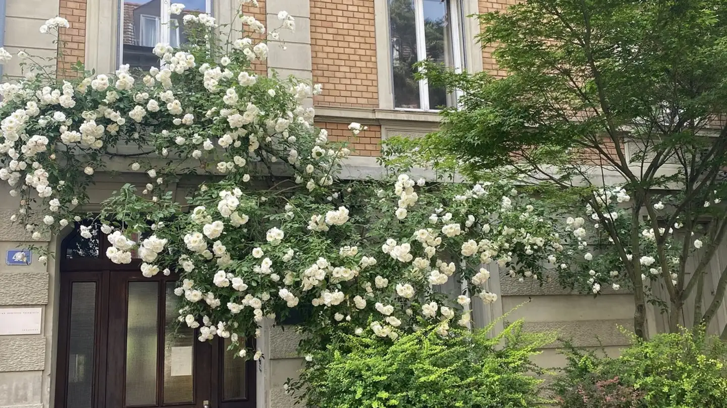 Zimmer mieten - 4057 Basel - Foto 2