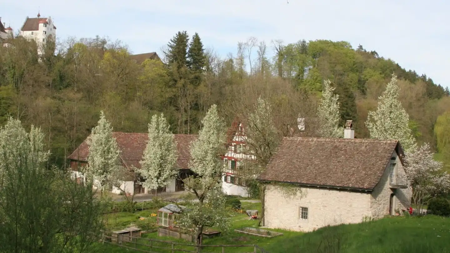 Appartamento in affitto - Hugelshoferstrasse 1, 8560 Märstetten - Foto 4