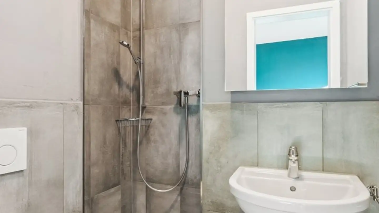 Commercial for rent - Alte Strasse 50, 5734 Reinach AG - Photo 2