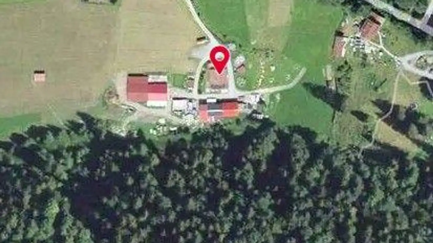 Farm for sale - Route Du Pont-De-Nant, 1880 Les Plans-sur-Bex - Photo 2