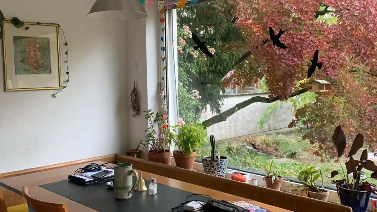 Single house for rent - 8400 Winterthur