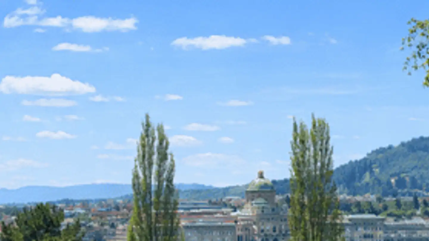 Maison en terrasse à louer - Knüslihubelweg 9, 3007 Bern - Photo 2