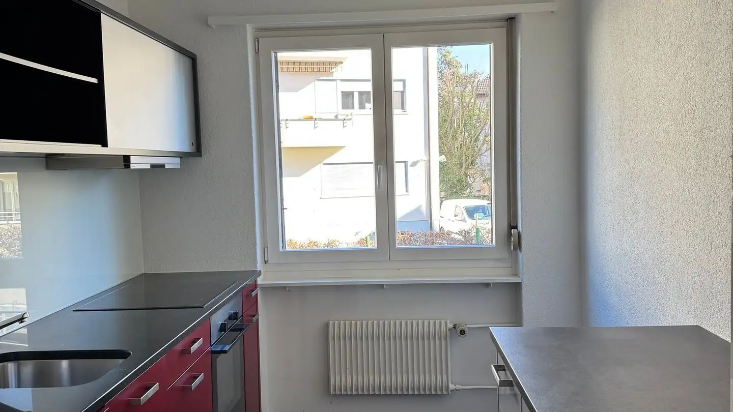 Appartamento in affitto - Fellenbergstrasse 315, 8047 Zürich