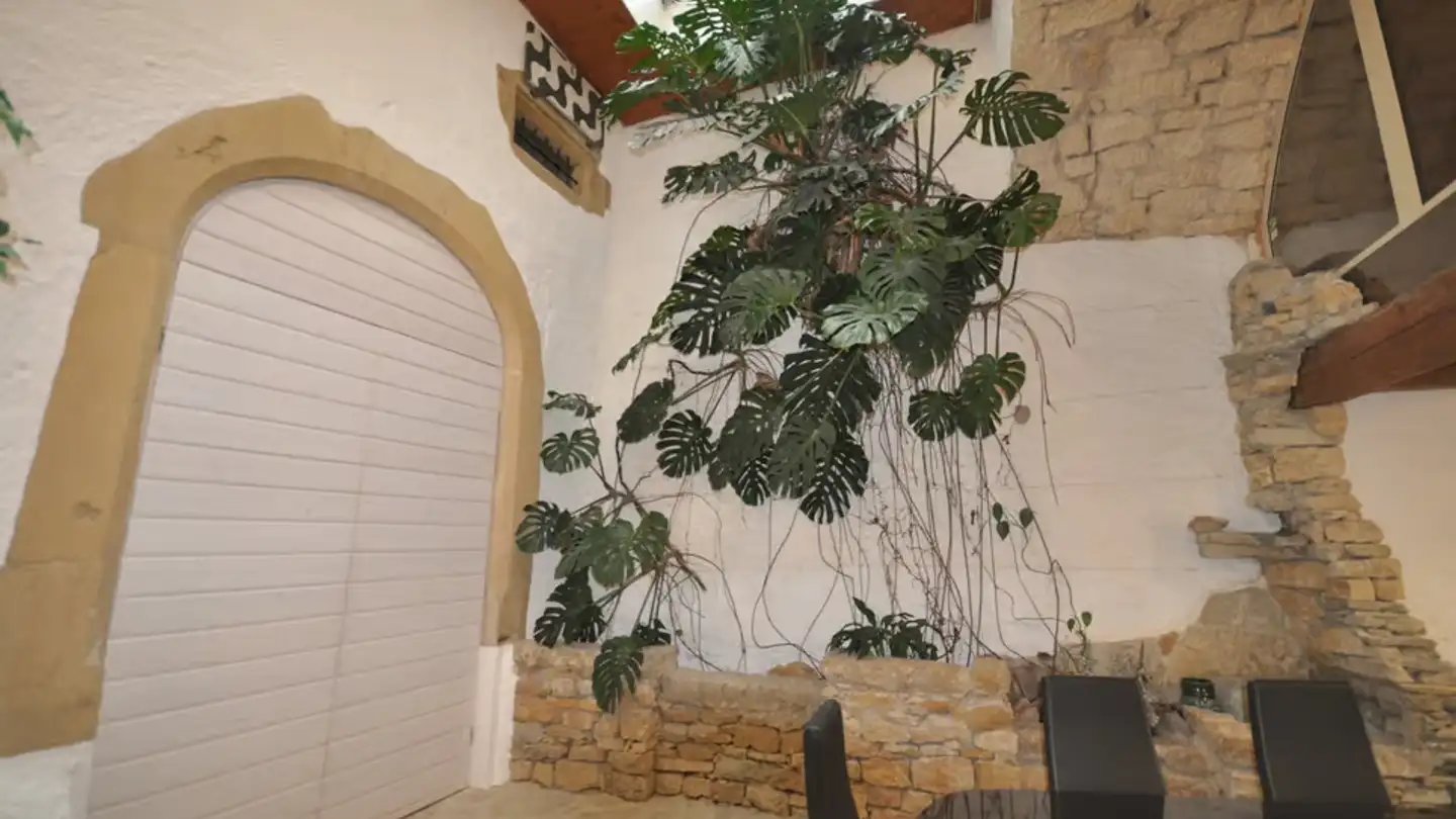 Commercial for rent - Rue Du Château 23, 2034 Peseux - Photo 3
