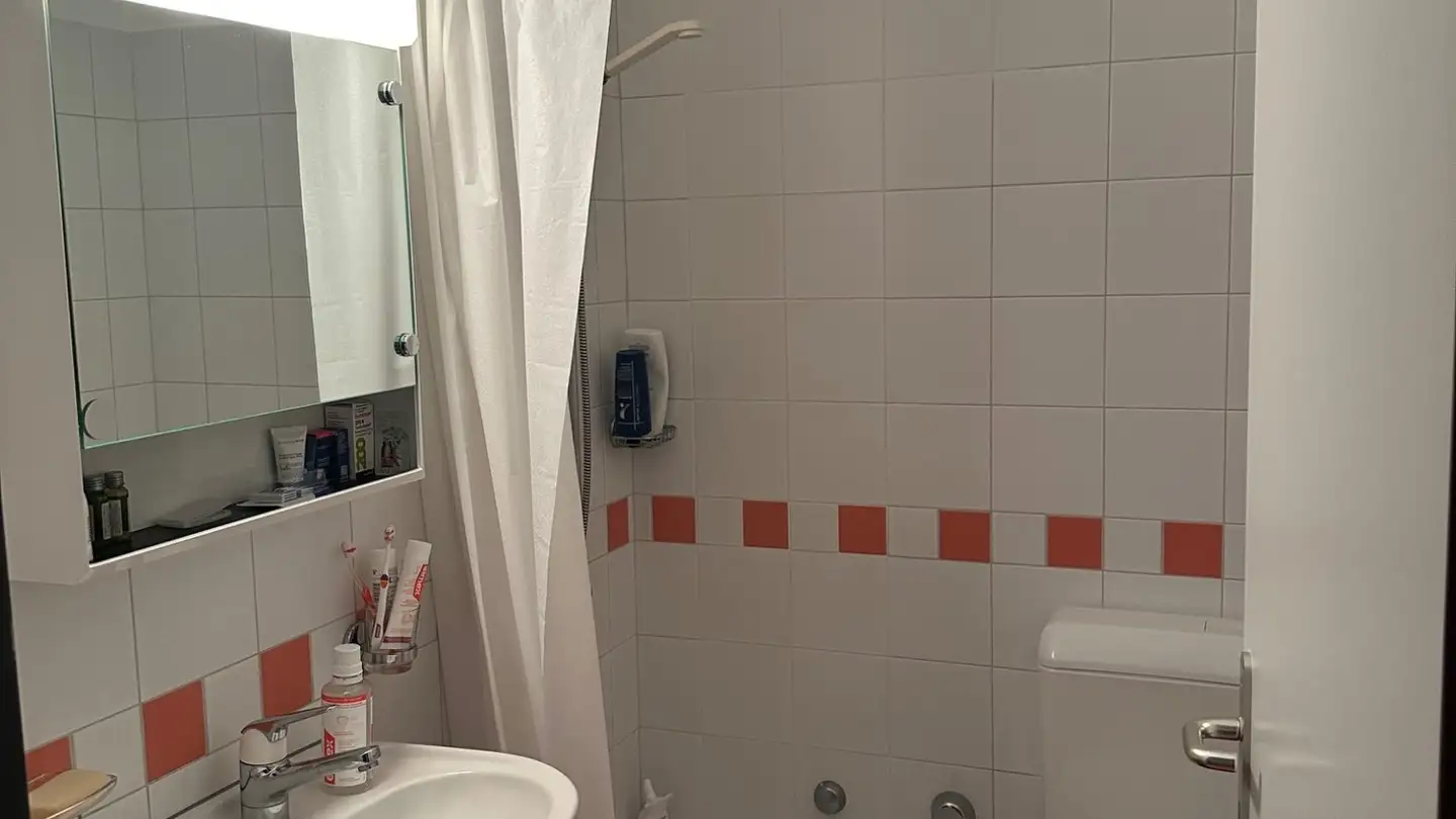 Appartamento in affitto - In Arla 11g, 6528 Camorino - Foto 4