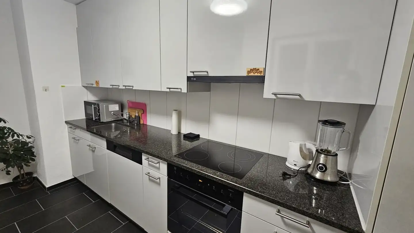 Appartamento ammobiliato in affitto - Trottenstrasse 73, 8037 Zürich - Foto 3
