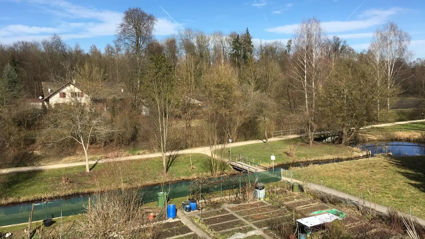 Wohnung mieten - Im Trübacker 9, 8600 Dübendorf - Foto 3