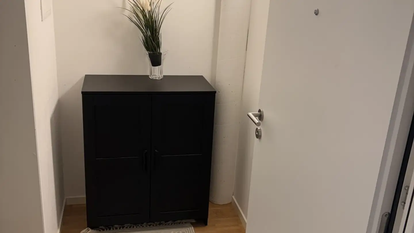 Appartamento in affitto - Bernstrasse 50, 6003 Luzern