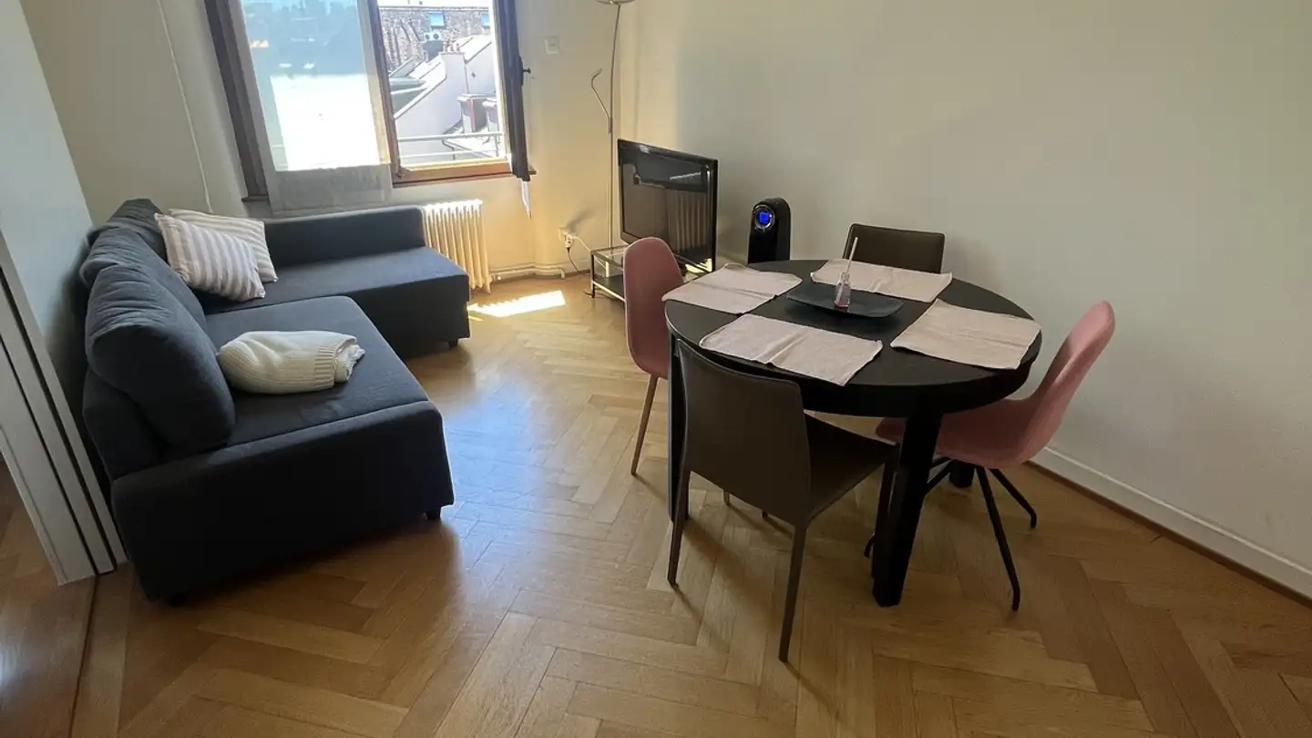 Appartamento in affitto - Avenue Dumas, 1206 Genève