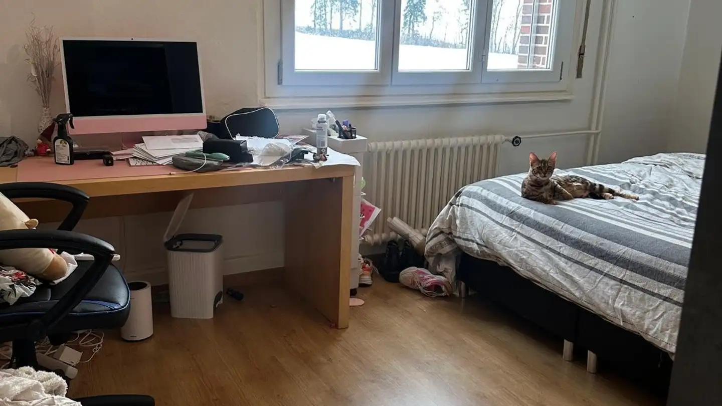 Wohnung mieten - Route De Fribourg 87, 1634 La Roche FR