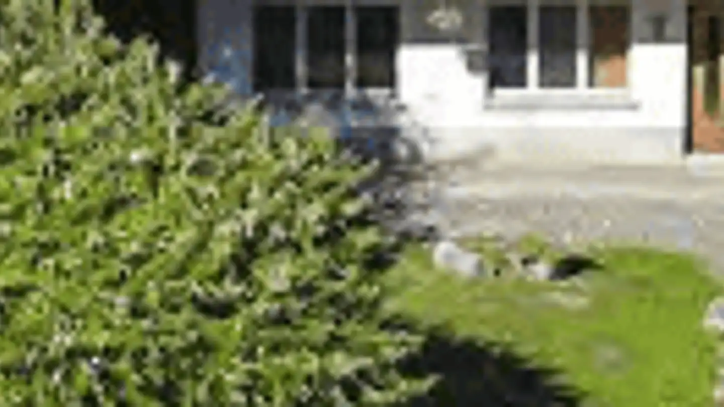 Casa singola in affitto - Route D'hauteville 21, 1806 St-Légier-La Chiésaz - Photo 3