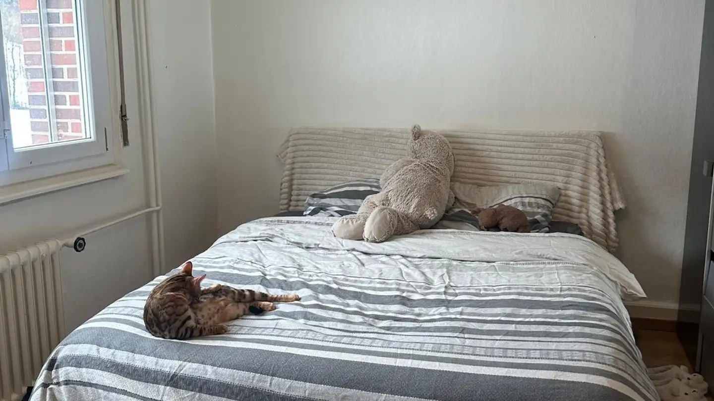 Wohnung mieten - Route De Fribourg 87, 1634 La Roche FR - Foto 2