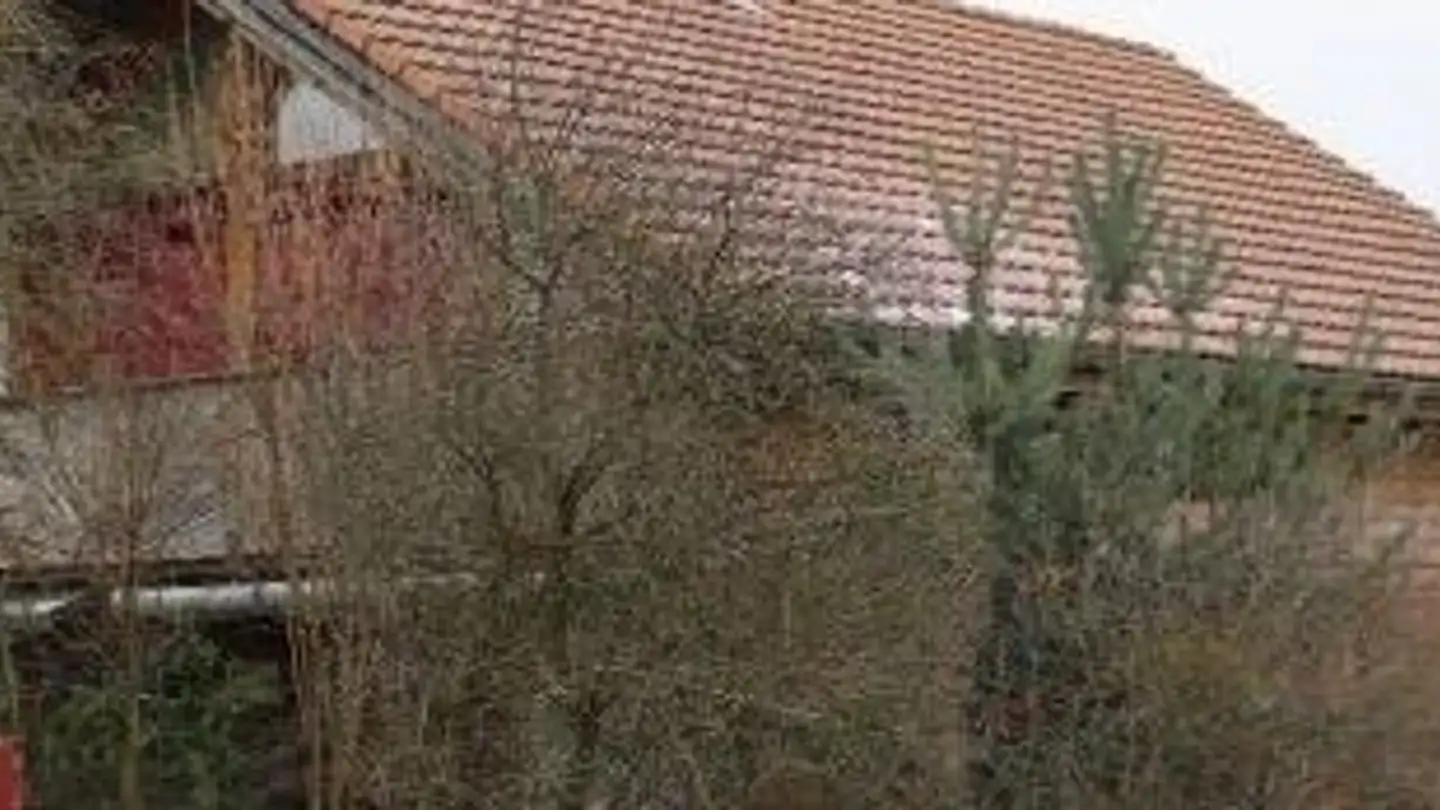 Einfamilienhaus kaufen - Unterwerkstrasse 4, 8192 Zweidlen