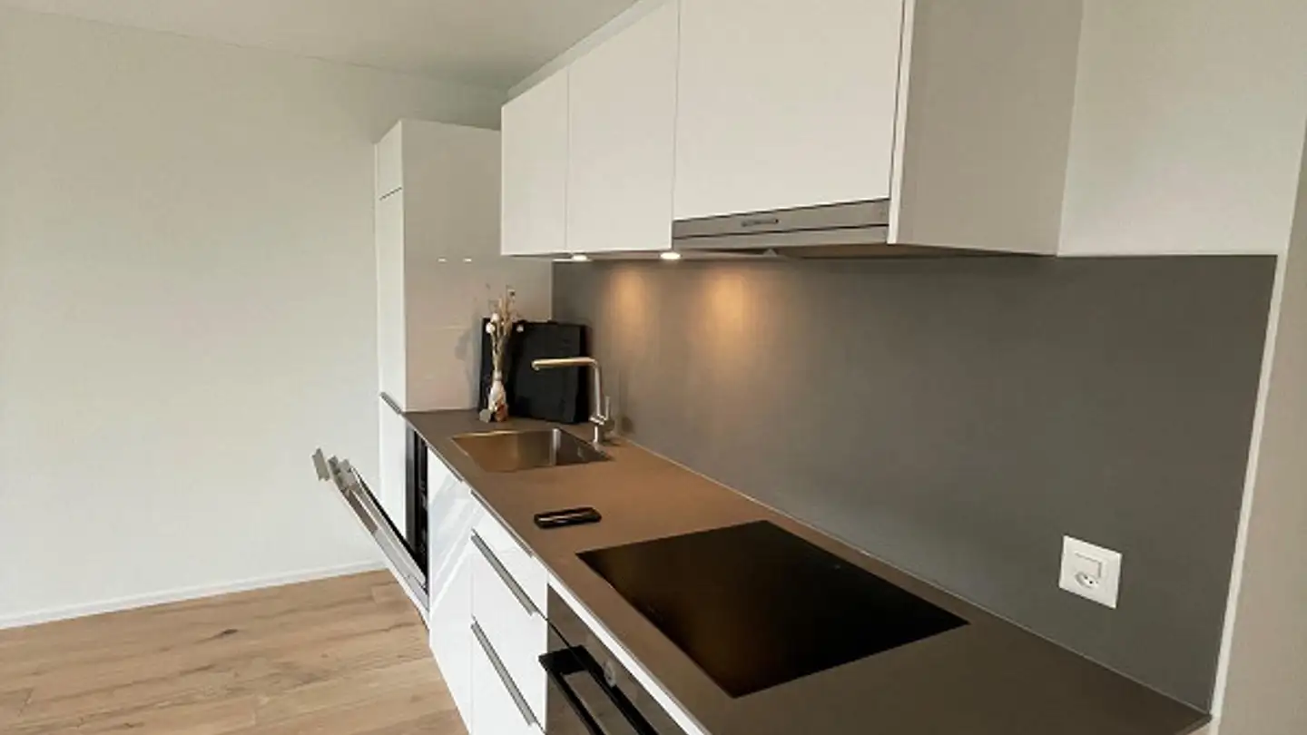 Appartement à louer - Breitistrasse 19, 8335 Hittnau