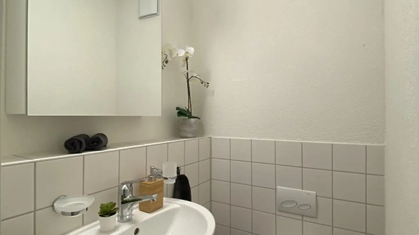 Appartamento in affitto - Sandbüelstrasse 18, 8606 Greifensee - Photo 4