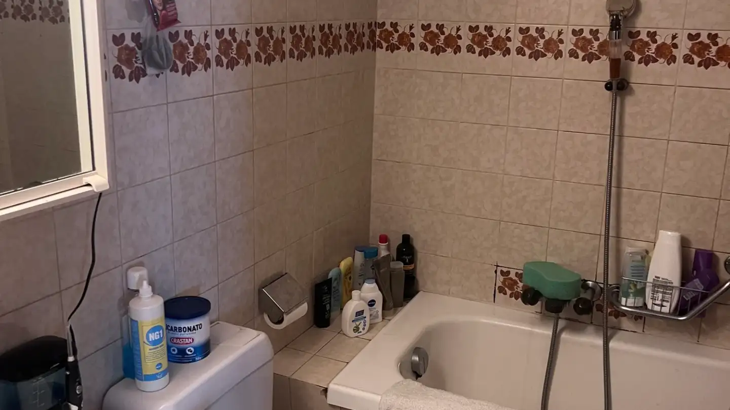 Single house for rent - In Pasquéi 1, 6703 Osogna