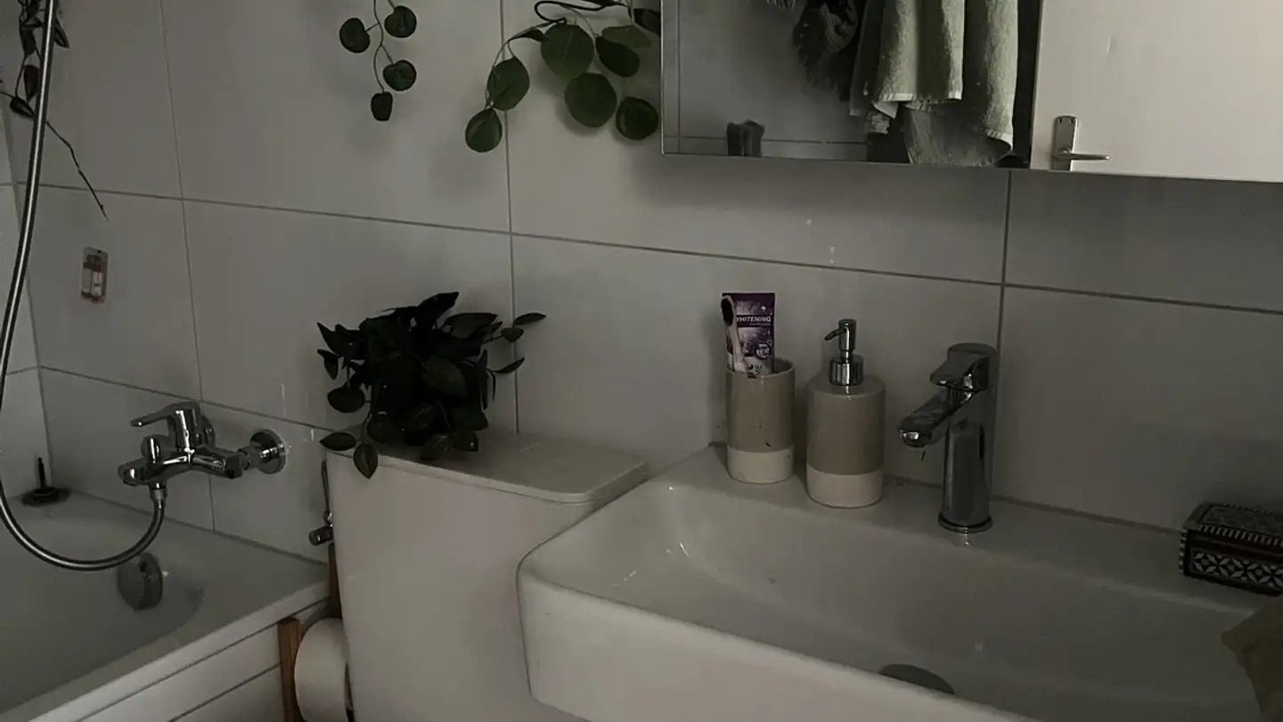 Appartamento in affitto - Eichbergerstrasse 9, 9450 Altstätten SG - Foto 3