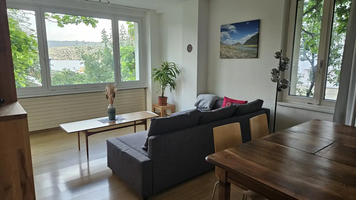 Single room for rent - Glärnischstrasse, 8800 Thalwil