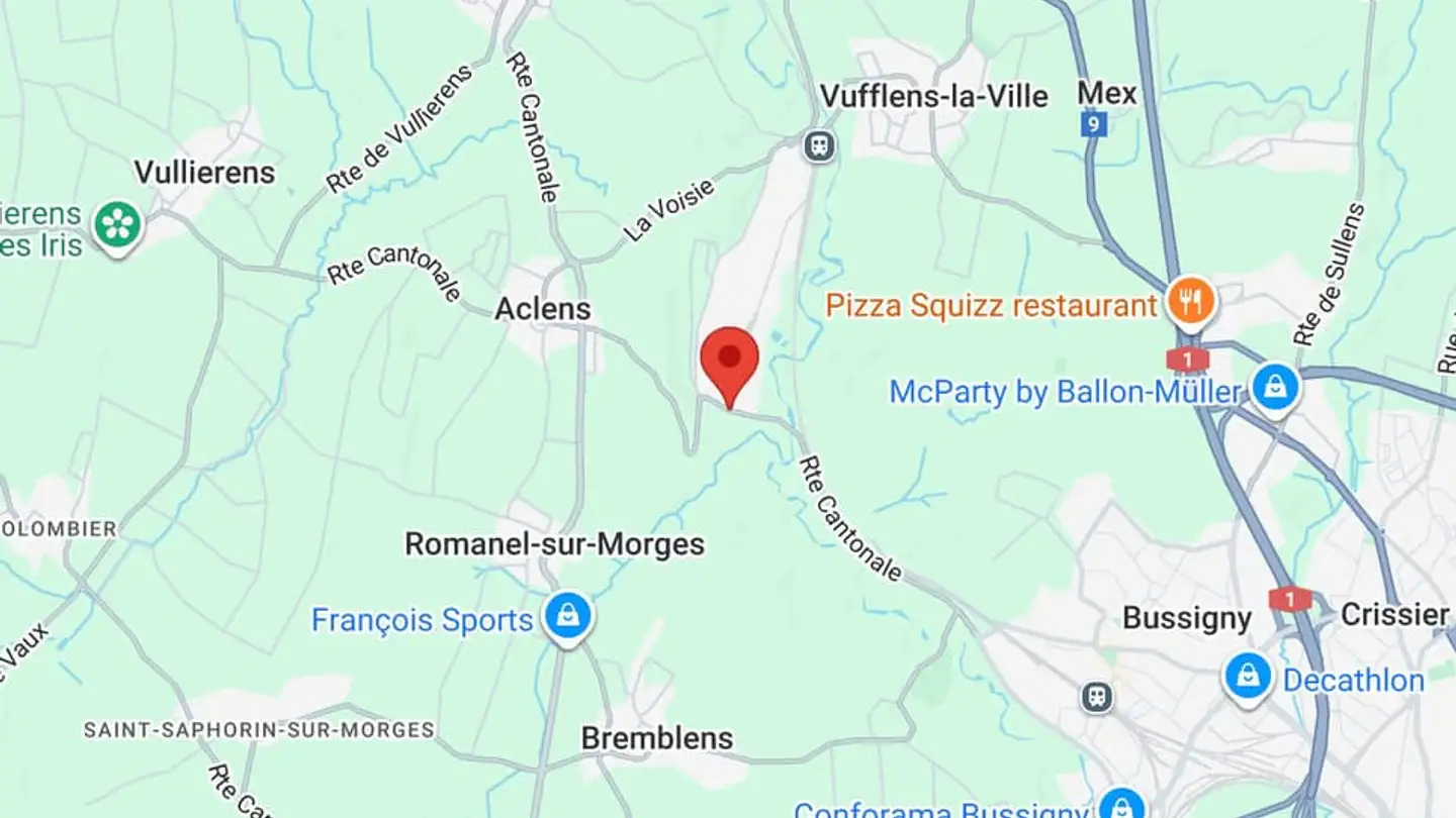 Commerciale in affitto - Zone Industrielle Moulin-Du-Choc B, 1122 Romanel-sur-Morges - Foto 2