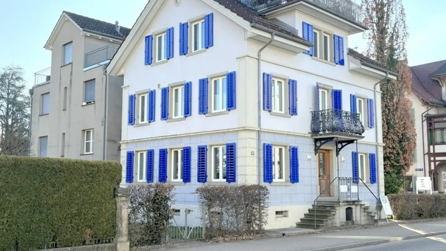 Commerciale in affitto - Rapperswilerstrasse 29, 8630 Rüti ZH - Foto 2