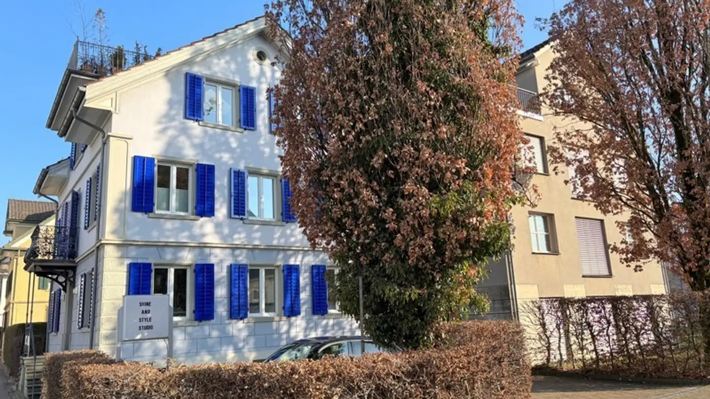 Commerciale in affitto - Rapperswilerstrasse 29, 8630 Rüti ZH - Foto 3