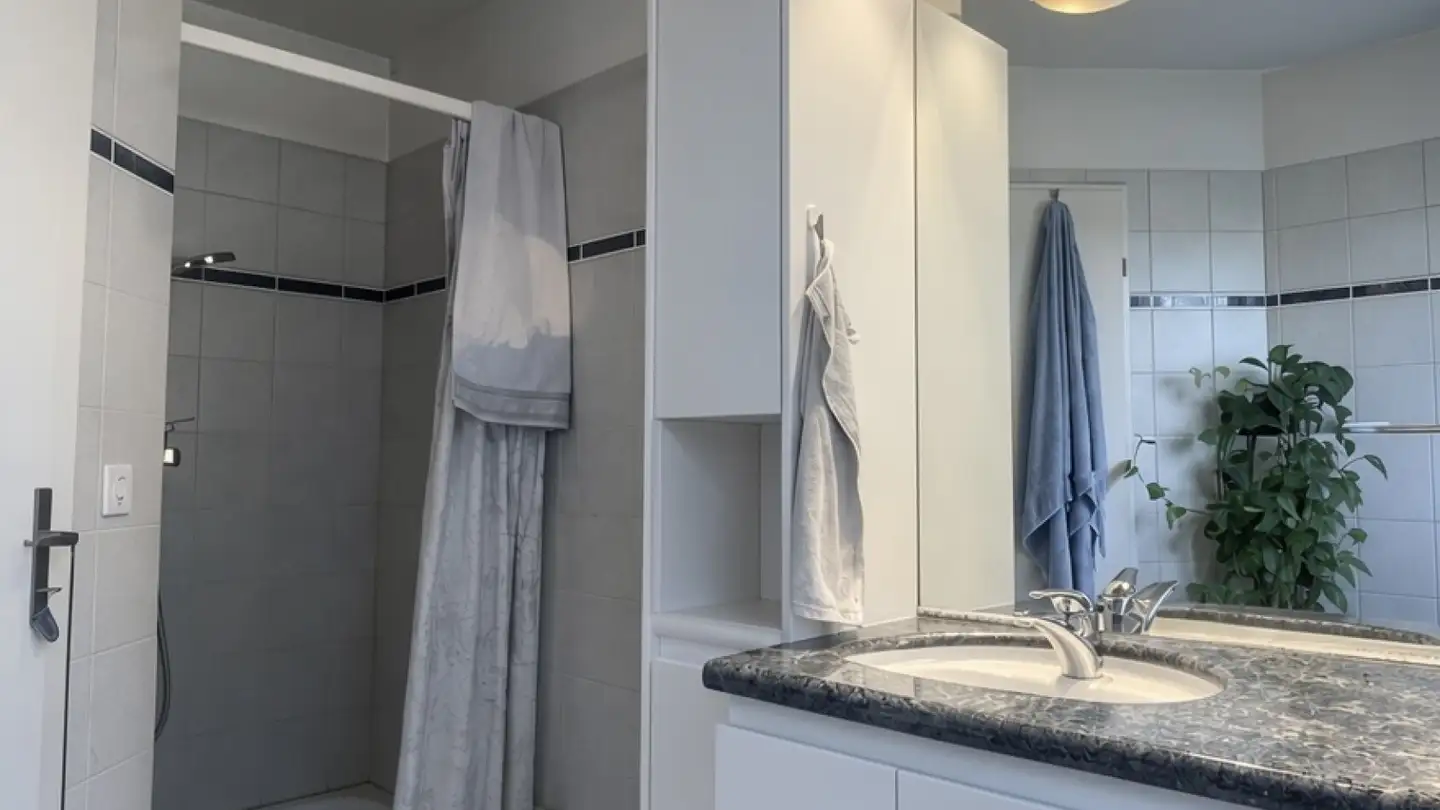Row house for sale - 8424 Embrach - Photo 4