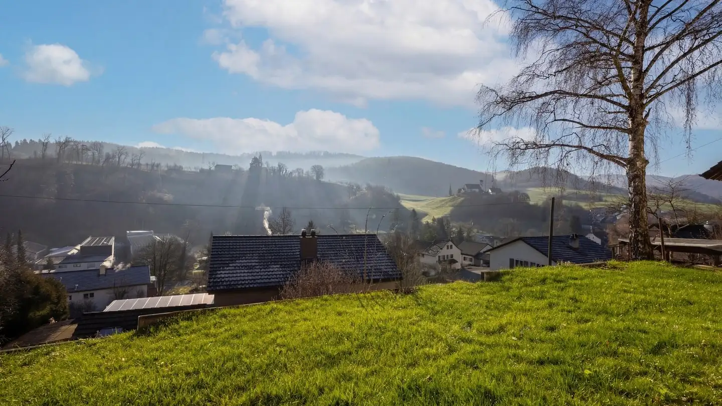 Single house for sale - Steinenbühl 57, 4417 Ziefen - Photo 3