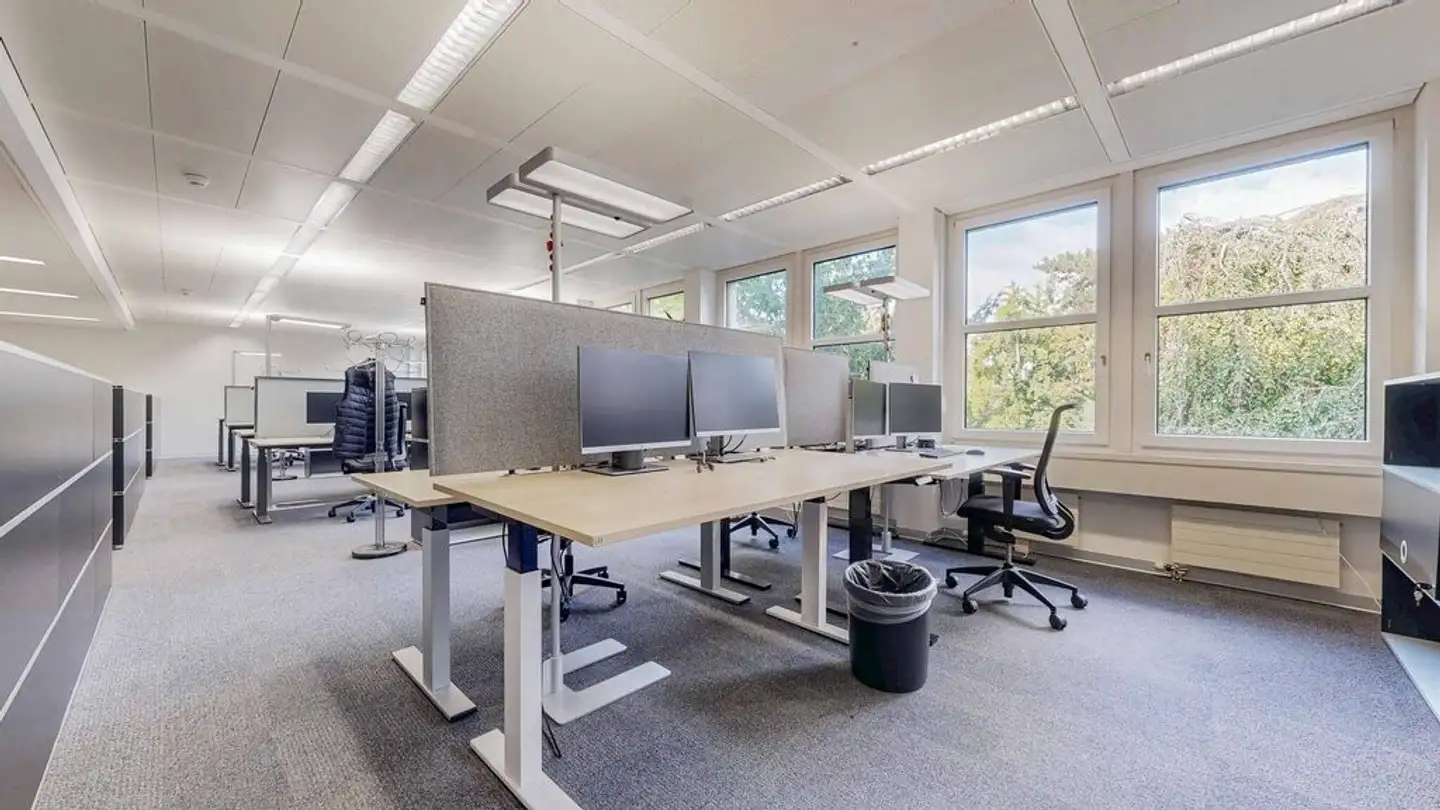 Spazio ufficio in affitto - St. Alban-Anlage 29, 4052 Basel - Foto 4