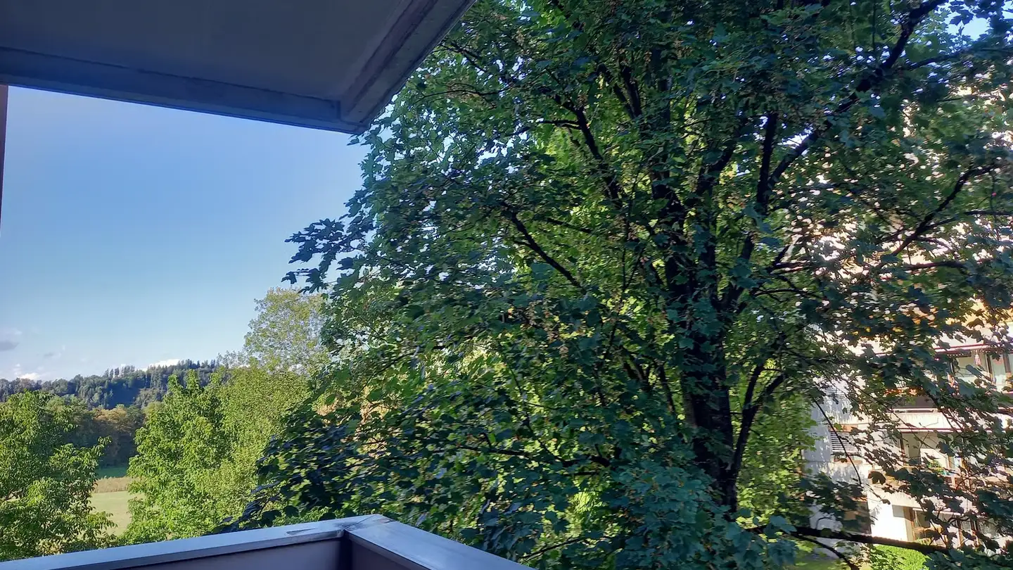 Appartement à louer - Henauerstrasse 62, 9244 Niederuzwil - Photo 3
