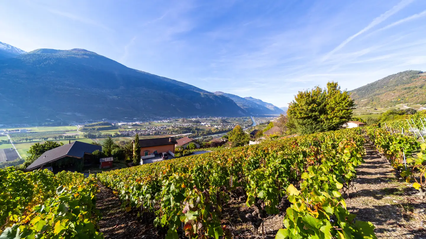 Bauland kaufen - Route De Crans-Montana, 3963 Montana - Foto 2