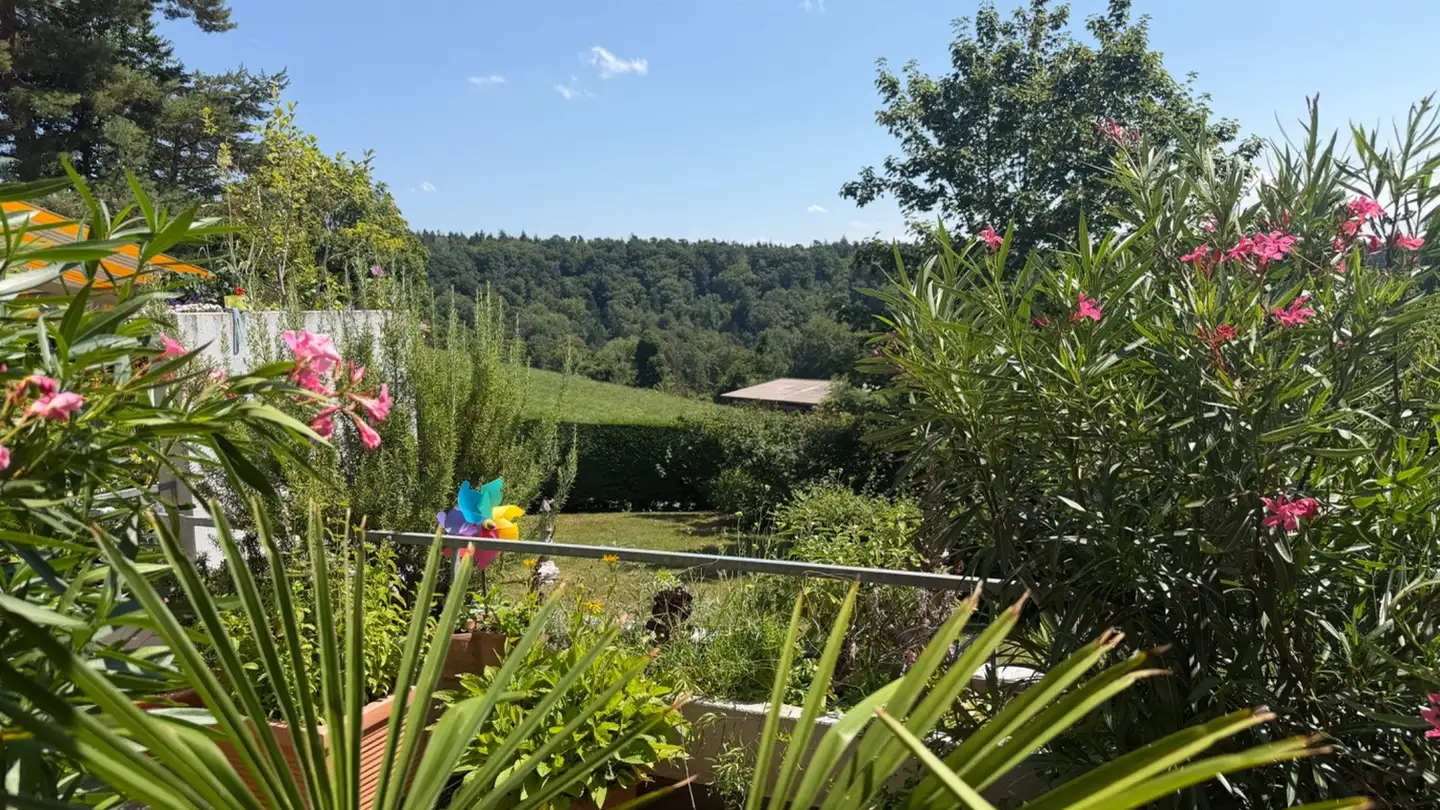 Appartement à louer - 8700 Küsnacht ZH - Photo 2