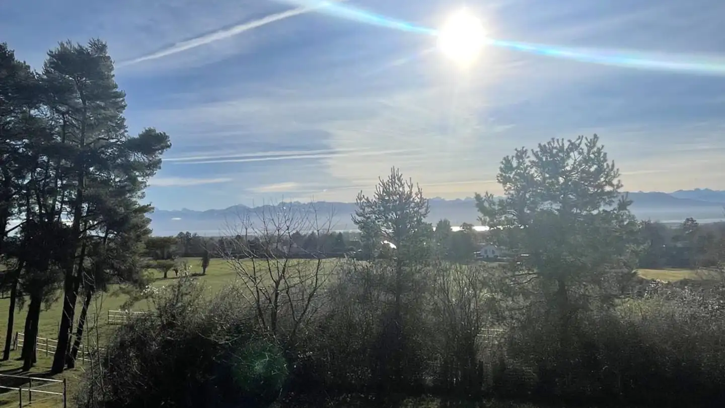 Maison individuelle à louer - Chemin D'arpey 12, 1276 Gingins - Photo 3