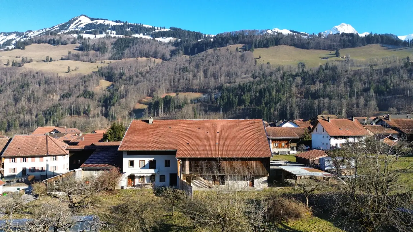 Appartement à vendre - 1666 Grandvillard