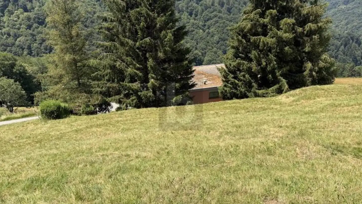 Terrain constructible à vendre - 6951 Bogno - Photo 4