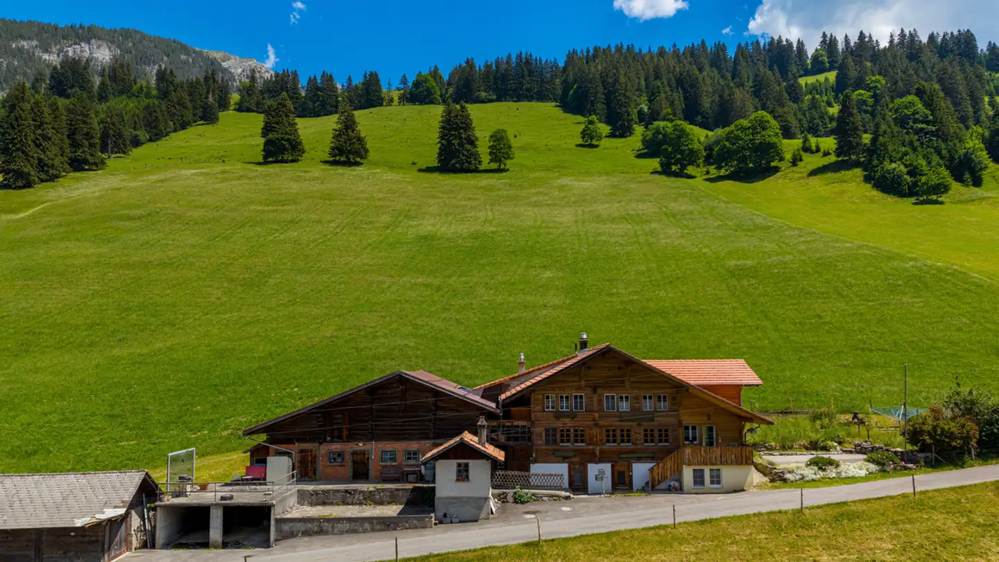 Mehrfamilienhaus kaufen - Kileystrasse 21, 3757 Schwenden im Diemtigtal