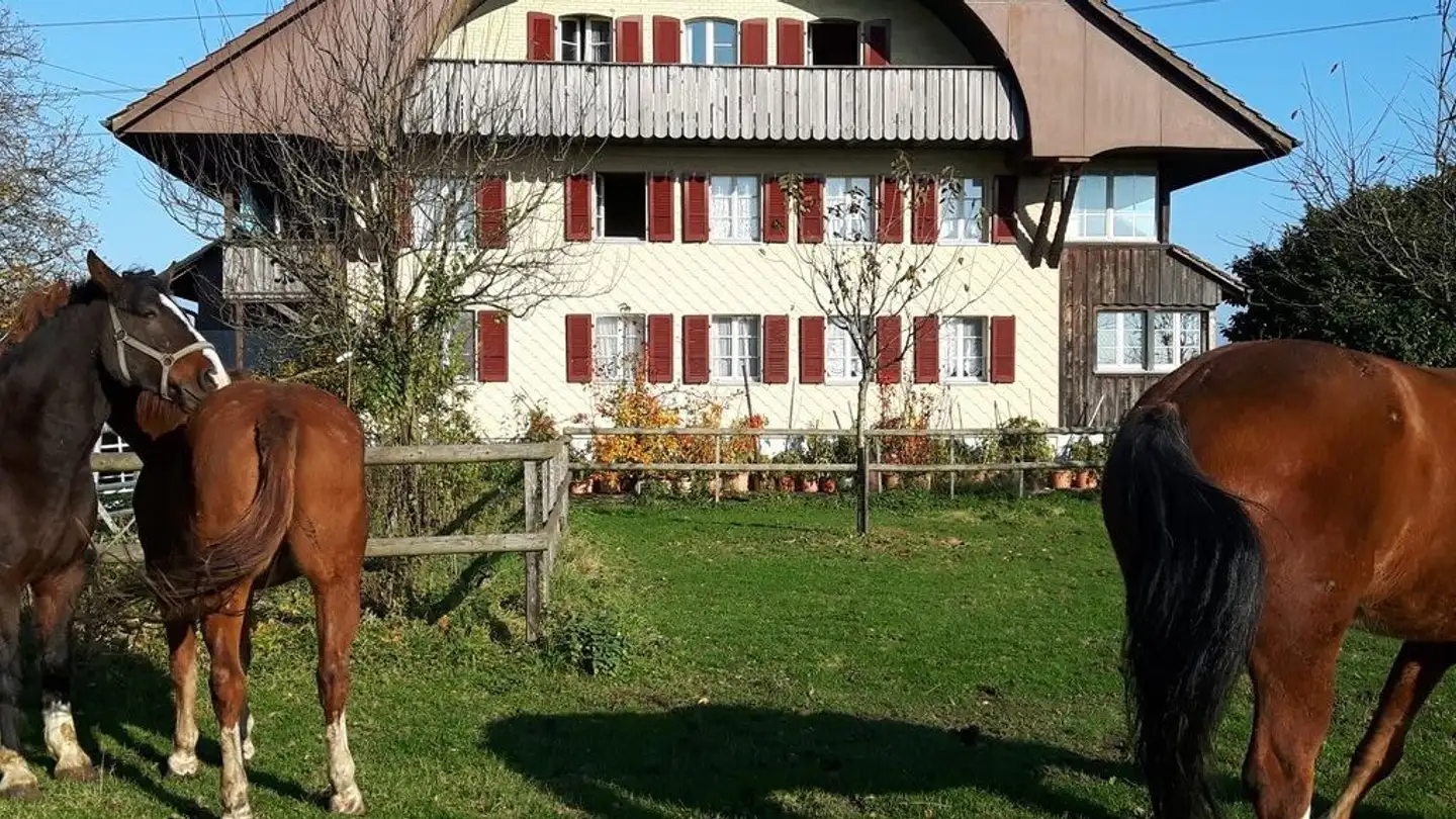 Attique à louer - Hohfuren 1, 3380 Wangen an der Aare