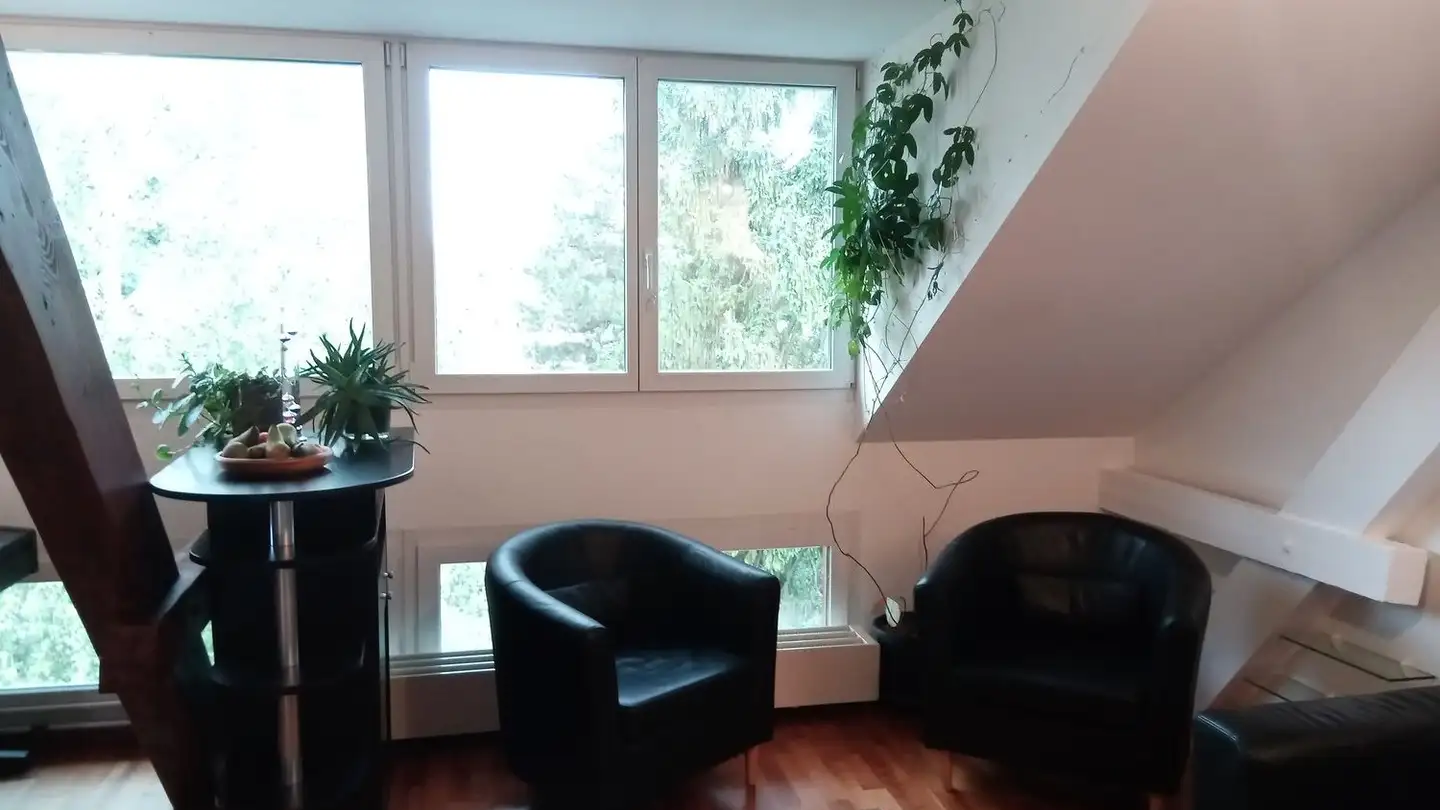 Single room for rent - Grellingerstrasse 38, 4052 Basel