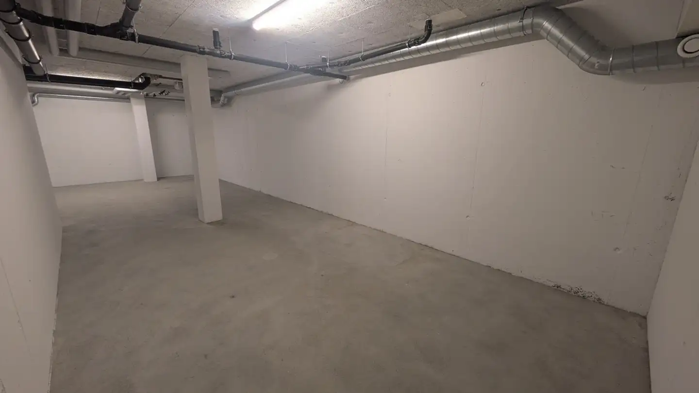 Storage space for rent - Althardstrasse 52c, 8105 Regensdorf - Photo 4